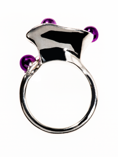 Flux Ring