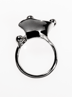 Flux Ring
