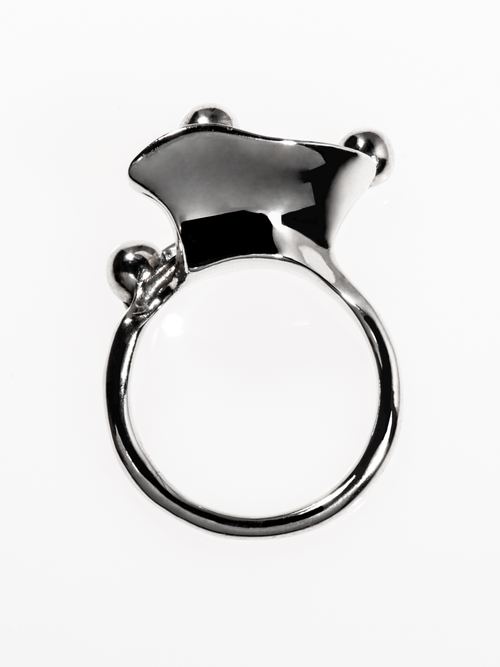 Flux Ring
