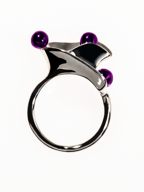 Flux Ring SV